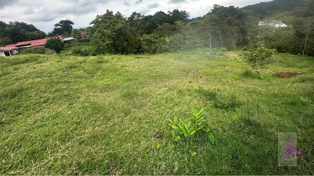 A grassy, sloped lot features scattered greenery with trees and houses in the background — SAN JOSESITO, HEREDIA, KY