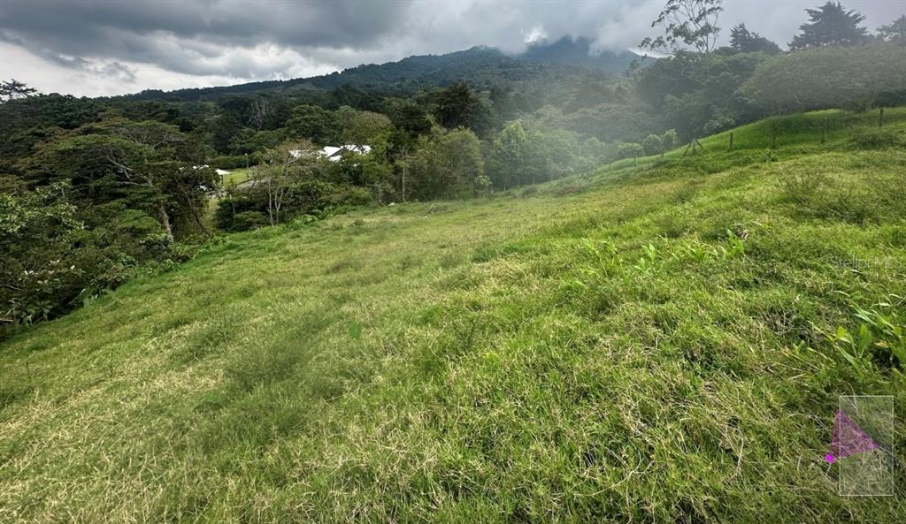 A grassy, sloped hillside overlooks a lush forest and a distant, cloud-covered mountain — SAN JOSESITO, HEREDIA, KY