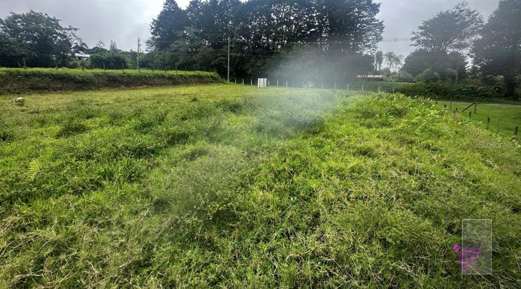 A grassy, open lot with a fence line and trees in the background — SAN JOSESITO, HEREDIA, KY