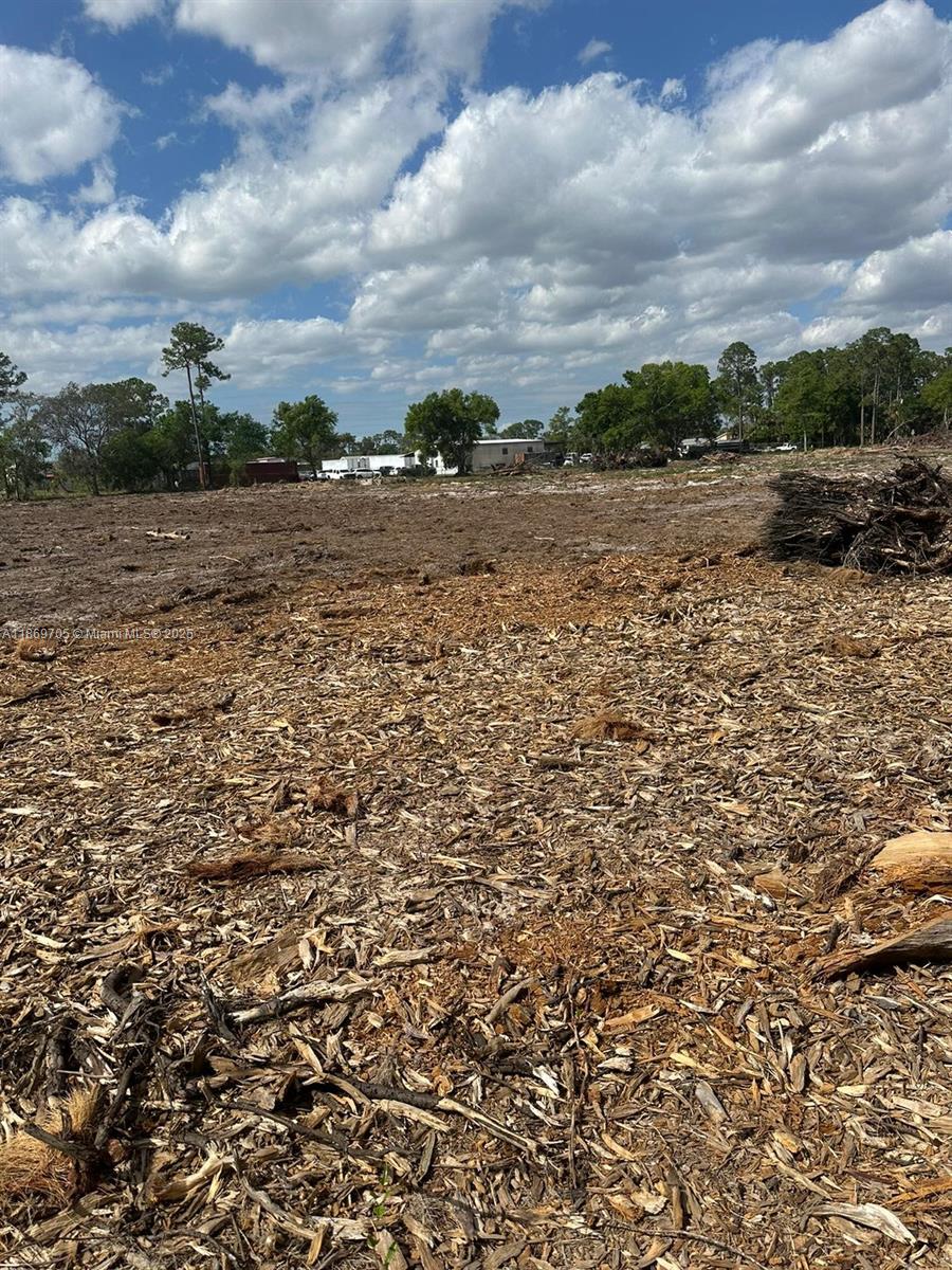 A cleared, flat lot covered in wood chips with scattered trees in the background — 155 E Lincoln, La Belle FL 33935, LA BELLE, FL