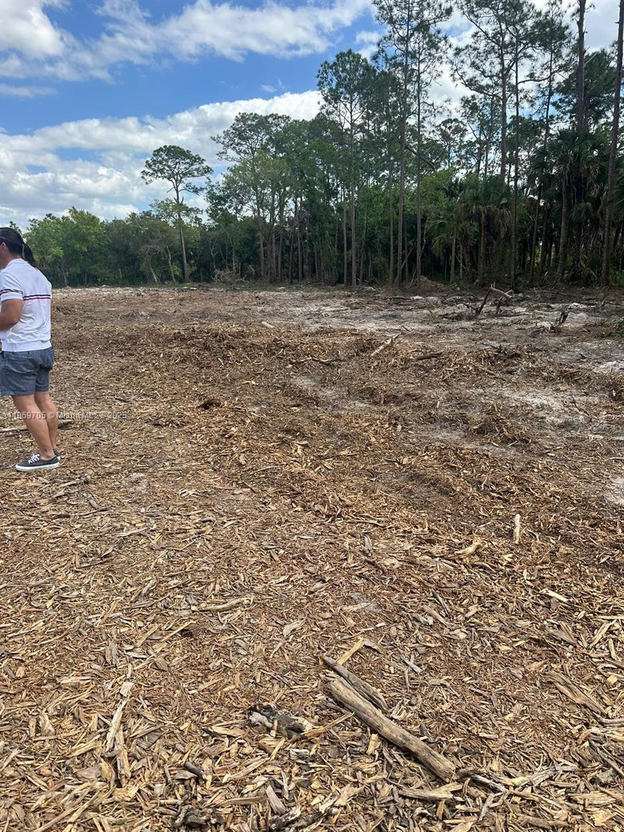 A person stands on a cleared, wood-chipped lot bordered by a dense line of trees — 155 E Lincoln, La Belle FL 33935, LA BELLE, FL