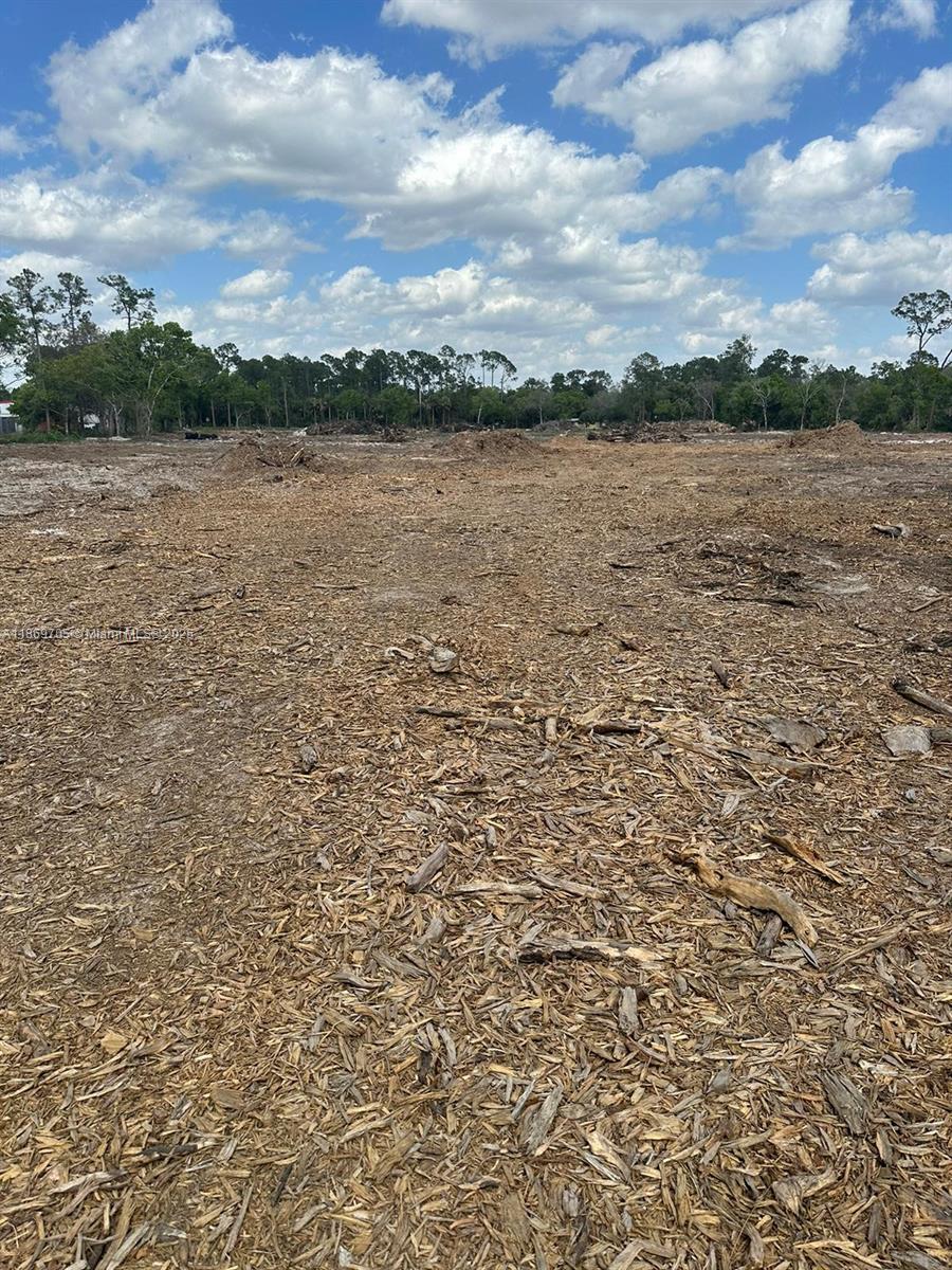 A cleared, flat lot covered in wood chips under a blue sky with scattered clouds — 155 E Lincoln, La Belle FL 33935, LA BELLE, FL