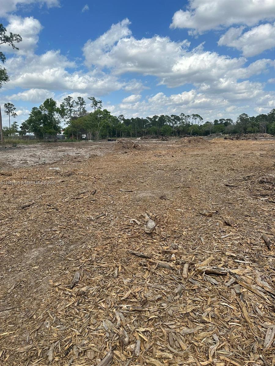 A cleared, flat lot covered in wood chips with a line of trees in the background — 155 E Lincoln, La Belle FL 33935, LA BELLE, FL