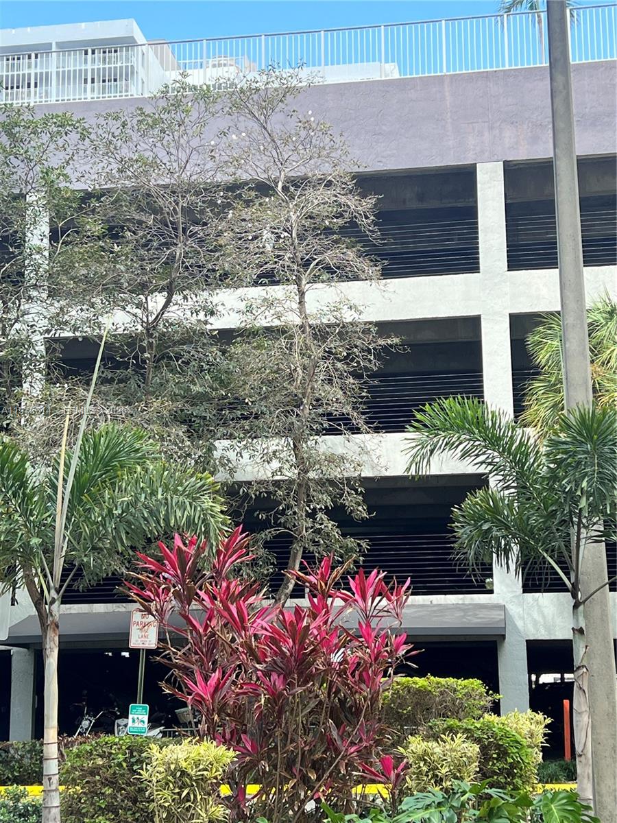 A multi-level parking garage is partially obscured by trees and tropical plants — 850 N Miami Ave # 1806, Miami FL 33136, MIAMI, FL