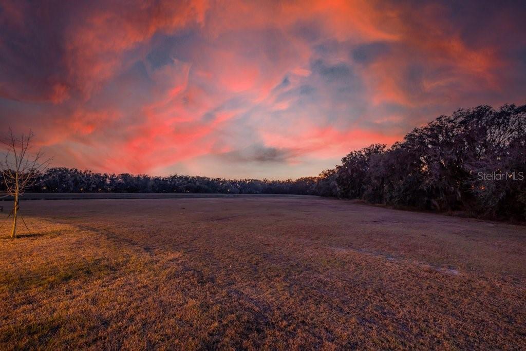 A wide, grassy field is framed by a line of trees under a vibrant sunset sky — 14604 HORSE TROT ROAD, LITHIA, FL