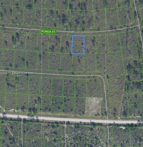 This is an aerial map showing a vacant rectangular lot outlined in blue on Ronda Street — 7811 RONDA ST, Sebring FL 33872, SEBRING, FL