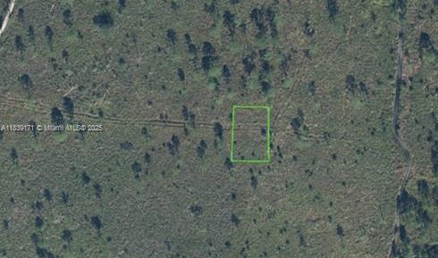 An aerial view shows a rectangular plot of land outlined in green amidst undeveloped vegetation — 7811 RONDA ST, Sebring FL 33872, SEBRING, FL