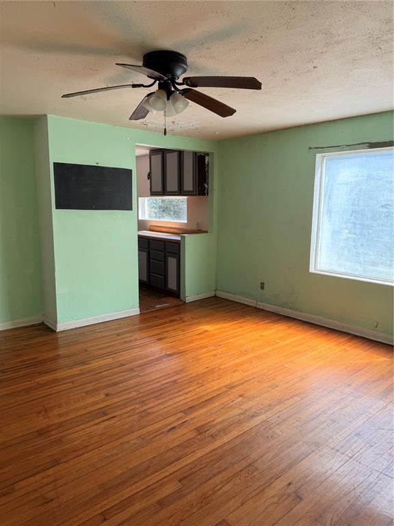 A room with light green walls, hardwood floors, a ceiling fan, and a kitchen pass-through — 1129 HOLLY AVENUE, DAYTONA BEACH, FL