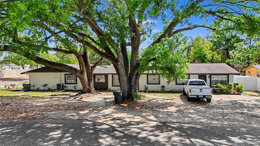 A single-story house with a white exterior and dark trim sits behind a large tree — 14207 N 12TH STREET UNIT A, TAMPA, FL
