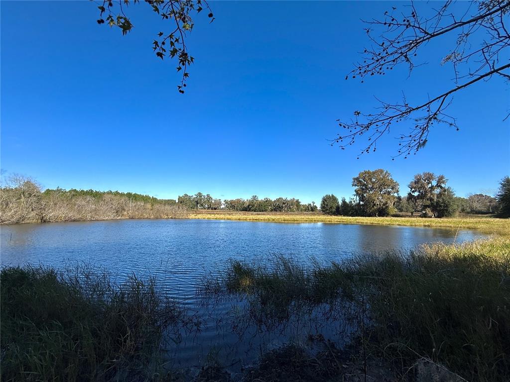 NW 110TH AVENUE, REDDICK, FL — photo 4 of 14