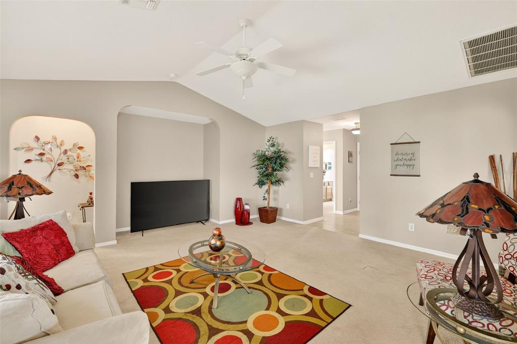 A living room features a vaulted ceiling, a colorful area rug, and a television console — 17867 SE 115TH CIRCLE, SUMMERFIELD, FL