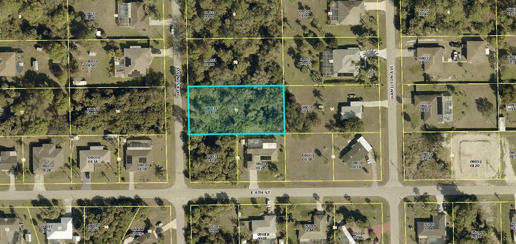 This is an aerial map showing a vacant, wooded residential lot highlighted in blue — 602 JACKSON AVENUE, LEHIGH ACRES, FL