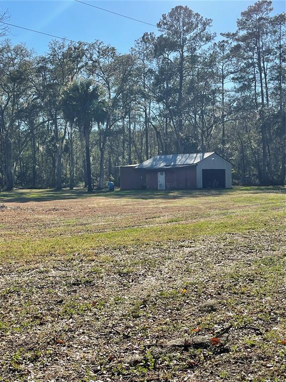 A metal-sided outbuilding sits on a grassy lot surrounded by tall pine trees — 10379 NE HIGHWAY 314, SILVER SPRINGS, FL