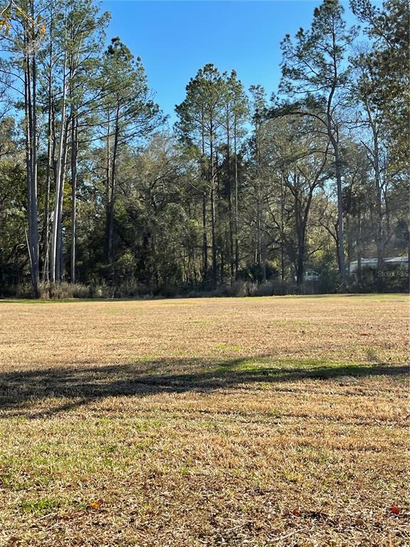 A large, flat, grassy field is bordered by a dense line of tall pine trees — 10379 NE HIGHWAY 314, SILVER SPRINGS, FL