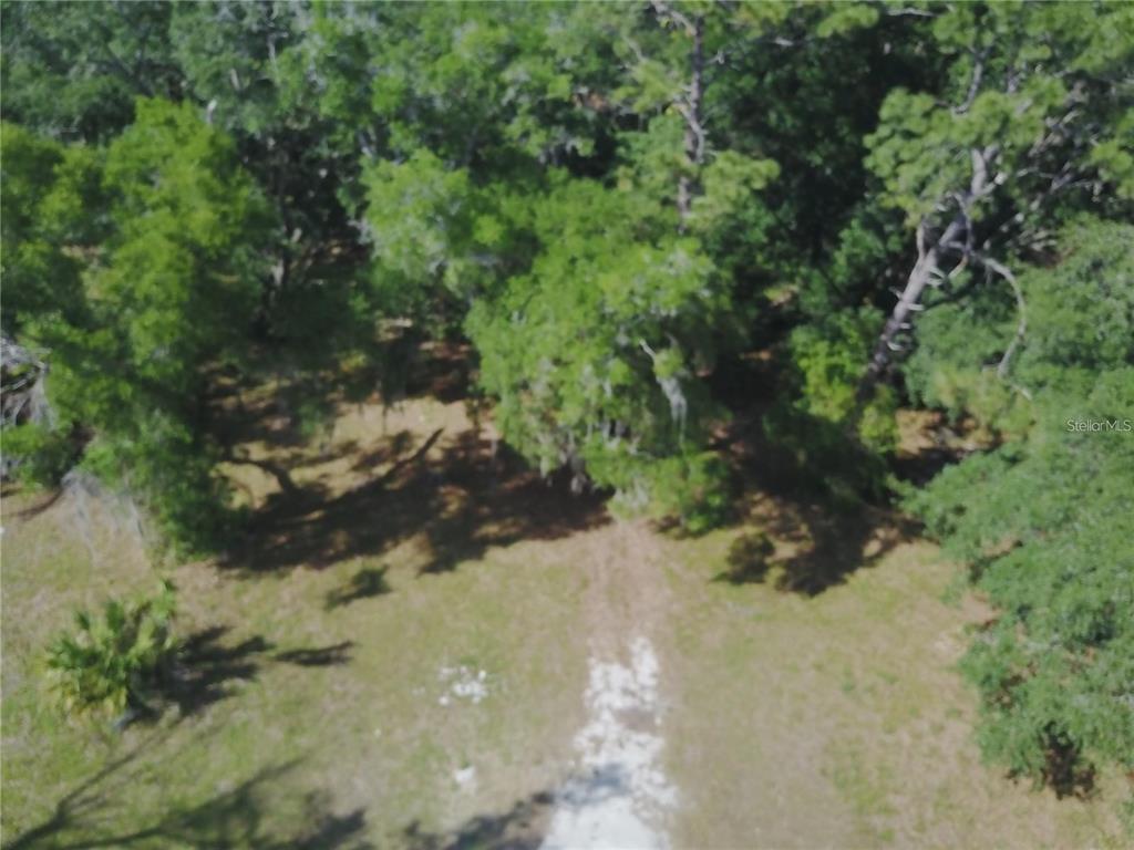 An aerial view shows a grassy clearing leading into a dense, wooded area — 3377 RIVERSIDE PARK ROAD, ORLANDO, FL