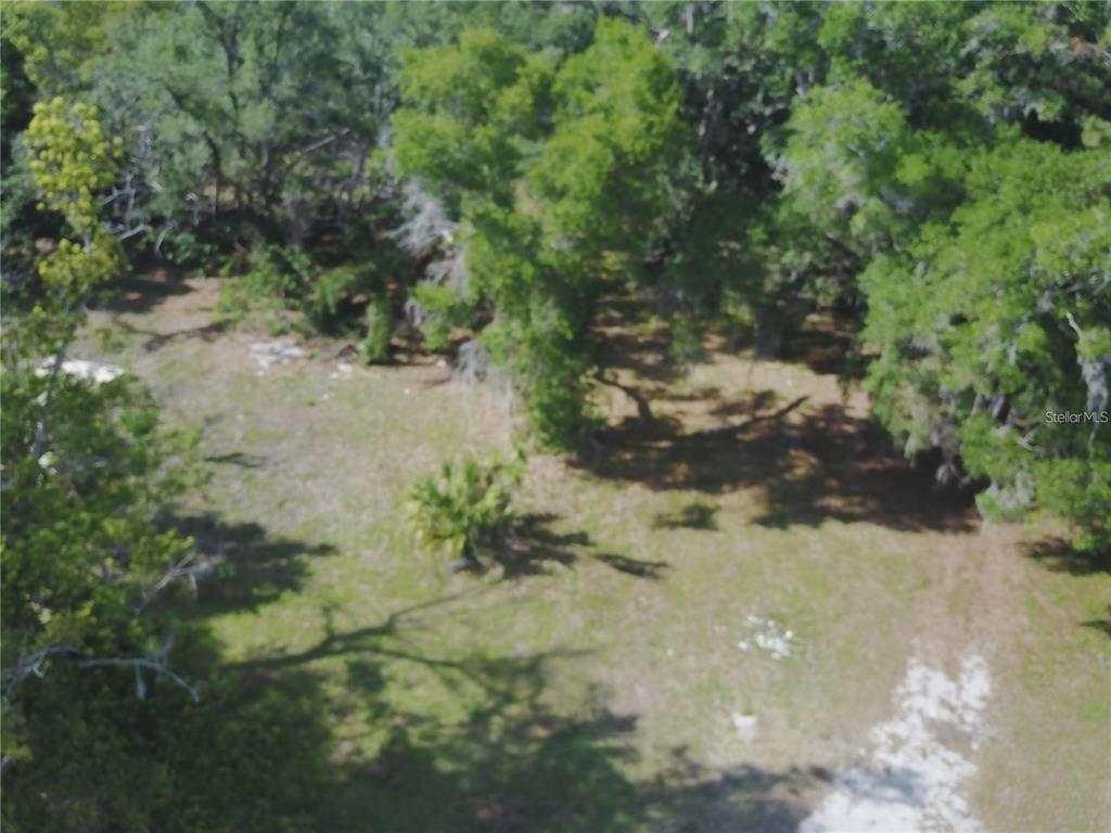 An aerial view shows a grassy, partially wooded lot with scattered trees and shrubs — 3377 RIVERSIDE PARK ROAD, ORLANDO, FL
