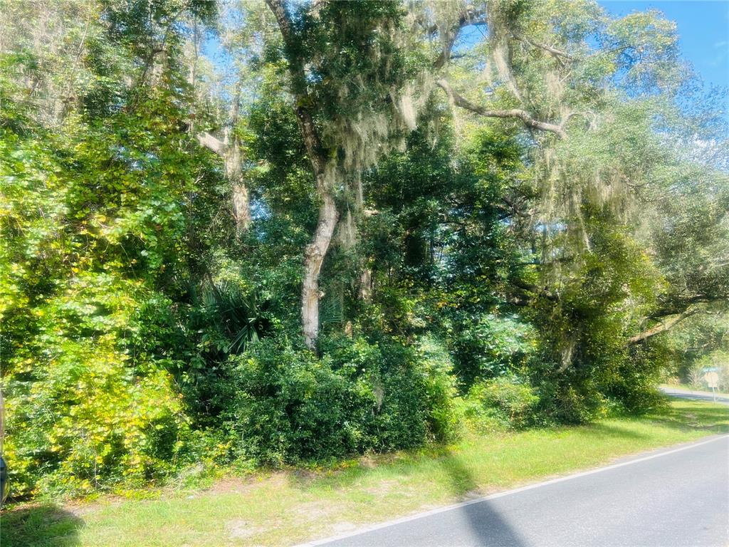 A dense, wooded lot sits alongside a paved road under a bright blue sky — 1215 ARREDONDO GRANT ROAD, DE LEON SPRINGS, FL