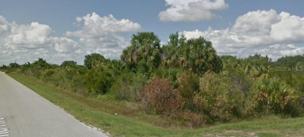 A paved road runs alongside a vacant, overgrown lot filled with trees and shrubs — 19218 NW 286TH STREET, OKEECHOBEE, FL