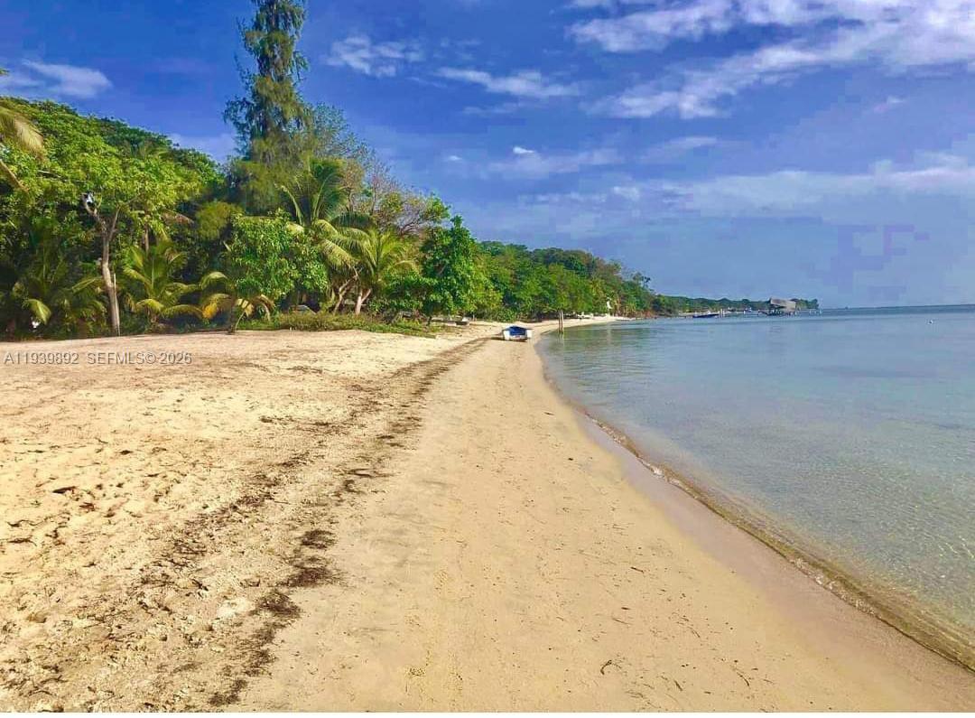 A sandy beach stretches along a calm coastline lined with lush green trees and palms — Roatan Island at Caribbean, Honduras, NA, NA