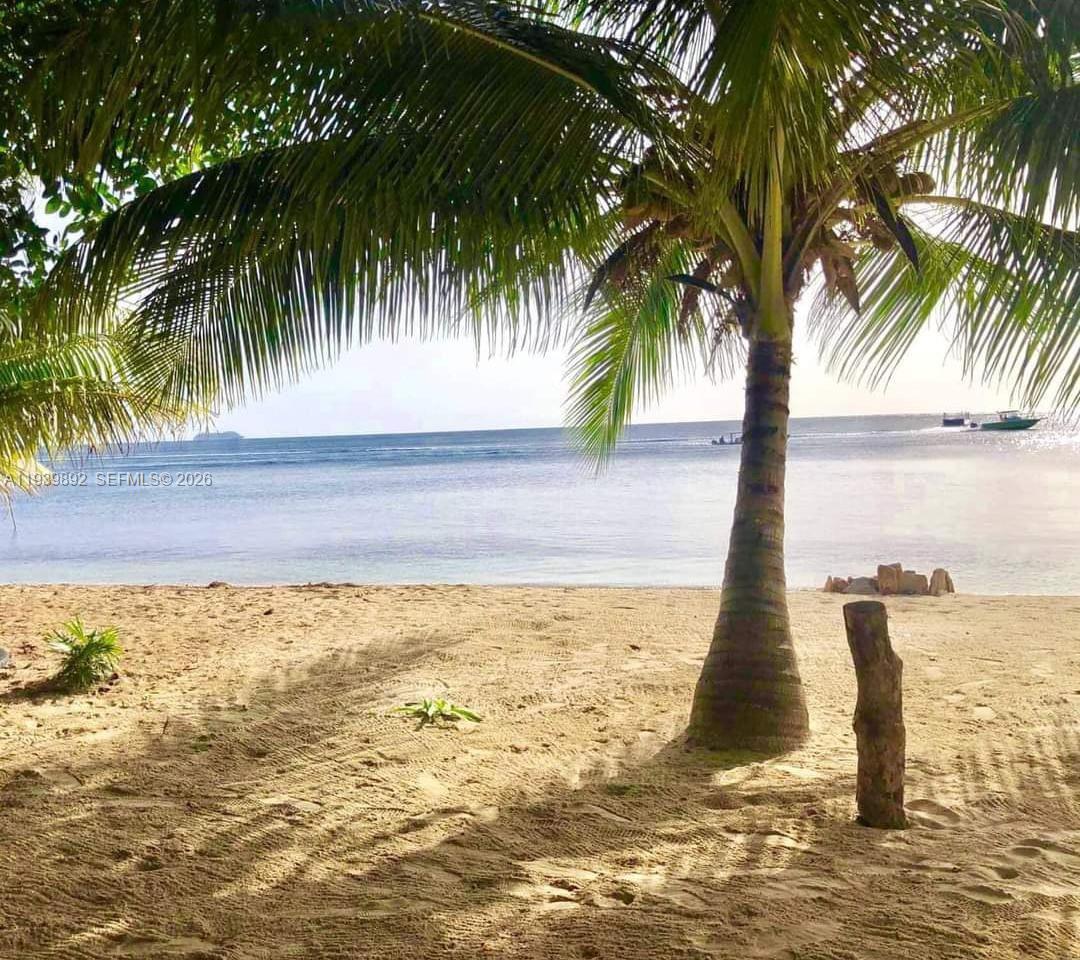 A sandy beach features a palm tree and a wooden post overlooking the ocean — Roatan Island at Caribbean, Honduras, NA, NA