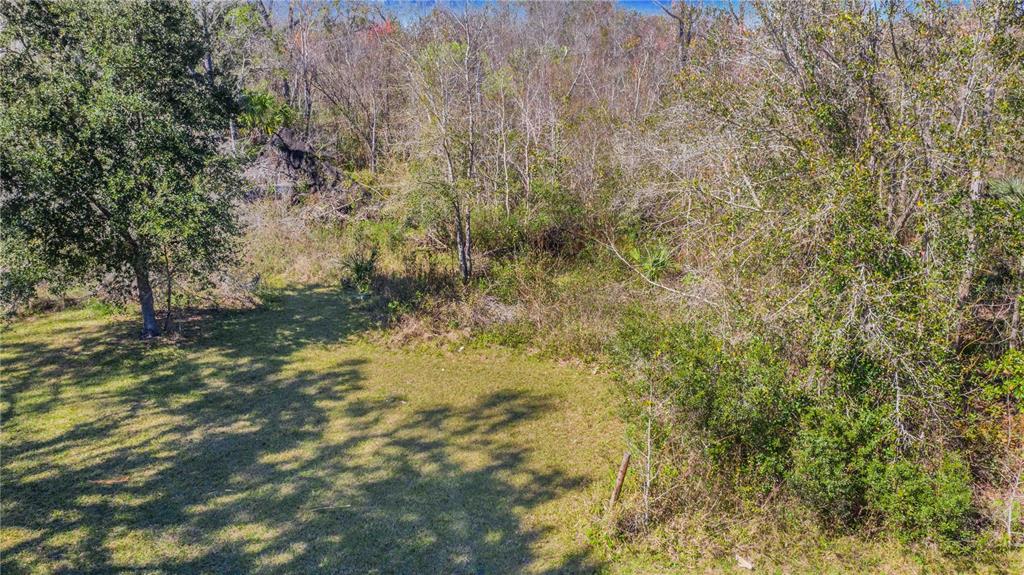 An elevated view shows a grassy yard transitioning into a dense, wooded forest area — LOCKE ROAD, DAVENPORT, FL