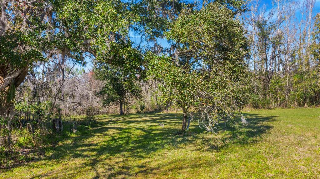 A grassy yard with several large trees and a wooded area in the background — LOCKE ROAD, DAVENPORT, FL