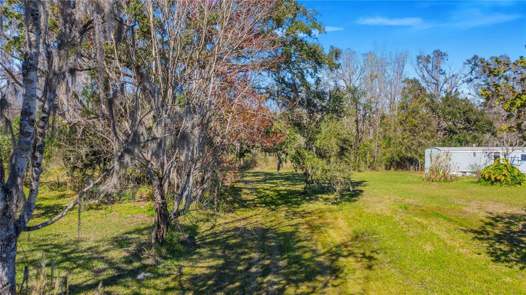 A grassy yard with mature trees and a mobile home under a bright blue sky — LOCKE ROAD, DAVENPORT, FL