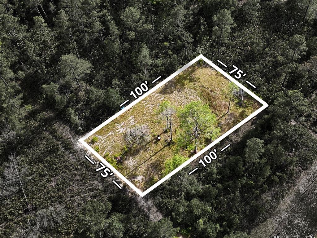 An aerial view shows a rectangular, wooded plot of land marked with white boundary lines — 56309 VIRGINIA STREET, PAISLEY, FL