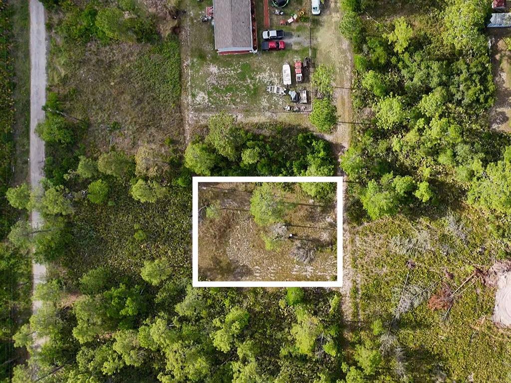 An aerial view shows a rectangular plot of land highlighted within a wooded area — 56309 VIRGINIA STREET, PAISLEY, FL