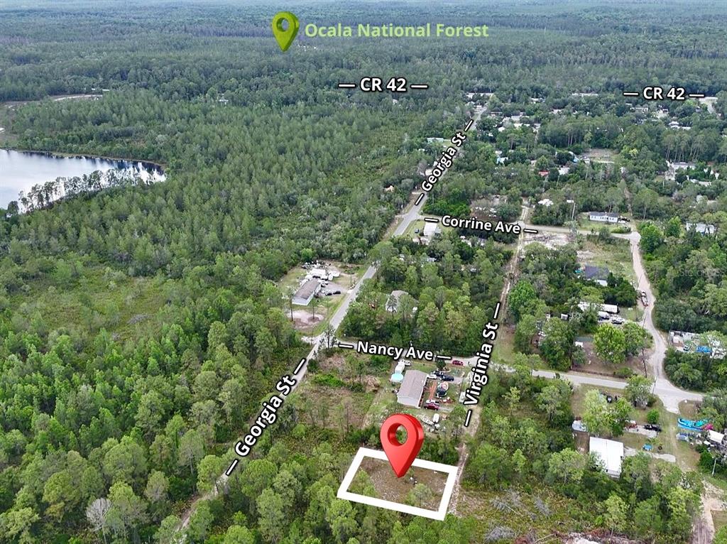 This is an aerial map showing a vacant lot marked with a pin near residential streets — 56309 VIRGINIA STREET, PAISLEY, FL