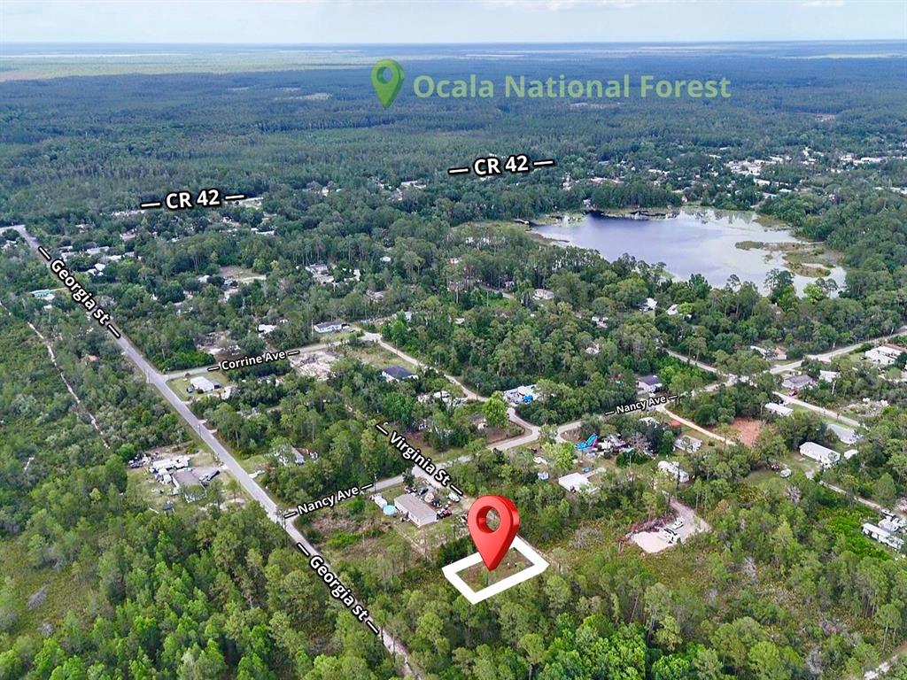 An aerial view shows a residential property marked with a pin near a forest — 56309 VIRGINIA STREET, PAISLEY, FL