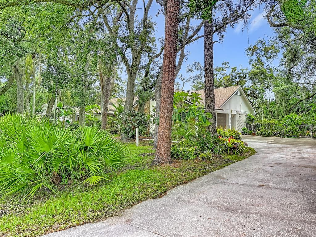 A concrete driveway leads to a house nestled among mature trees and lush tropical landscaping — 12721 N ARMENIA AVENUE, TAMPA, FL