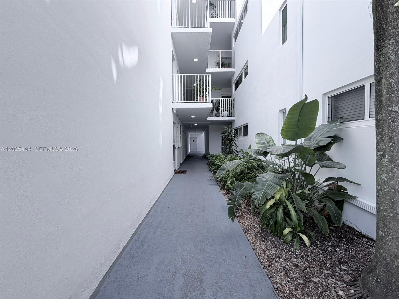 An outdoor walkway leads between two white apartment buildings with balconies and tropical plants — 9159 SW 77th Ave # 112, Miami FL 33156, MIAMI, FL