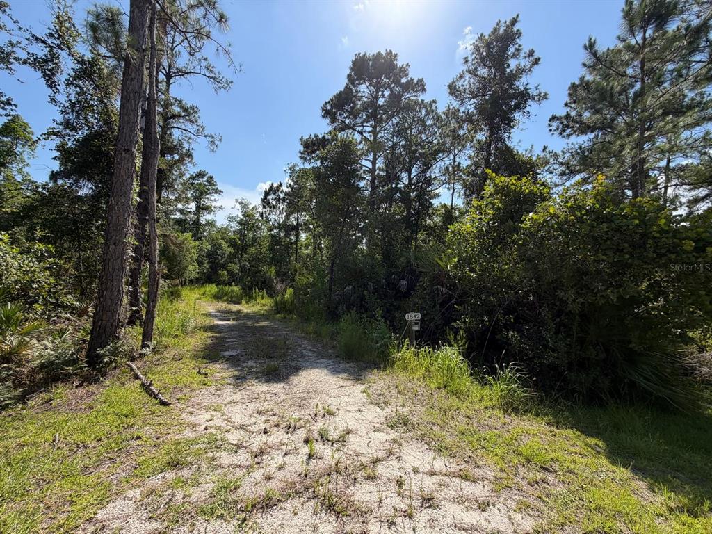 A dirt driveway leads into a wooded lot with a small address sign — 1842 SWEETWATER BEND, DELTONA, FL