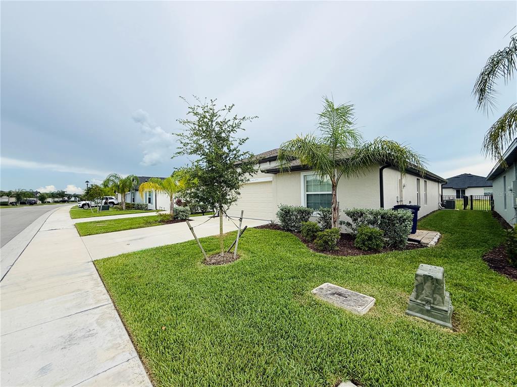 A single-story house exterior with a lawn, driveway, palm tree, and a sidewalk — 4034 SAN CLEMENTE COURT, NORTH FORT MYERS, FL