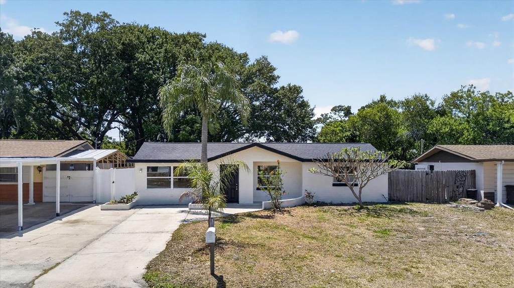 A single-story house with a white exterior, dark roof, and a palm tree in front — 3851 SATURN DRIVE, NEW PORT RICHEY, FL