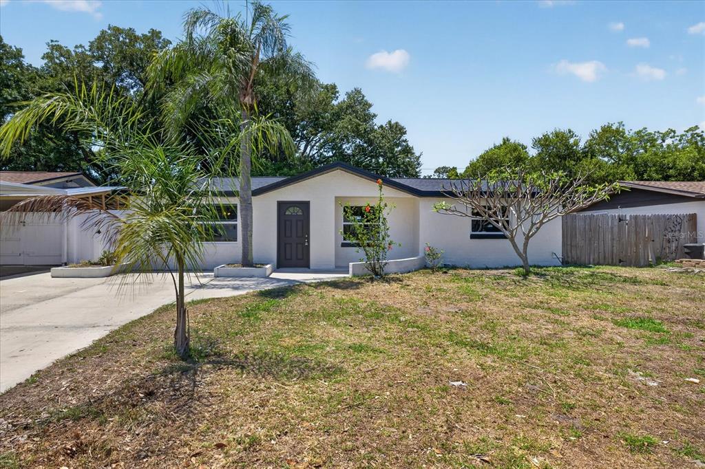 A single-story house with a white exterior, dark front door, and a palm tree — 3851 SATURN DRIVE, NEW PORT RICHEY, FL
