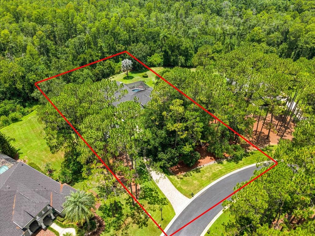 An aerial view shows a house with a pool surrounded by trees and a driveway — 418 PINE BLUFF DRIVE, LUTZ, FL