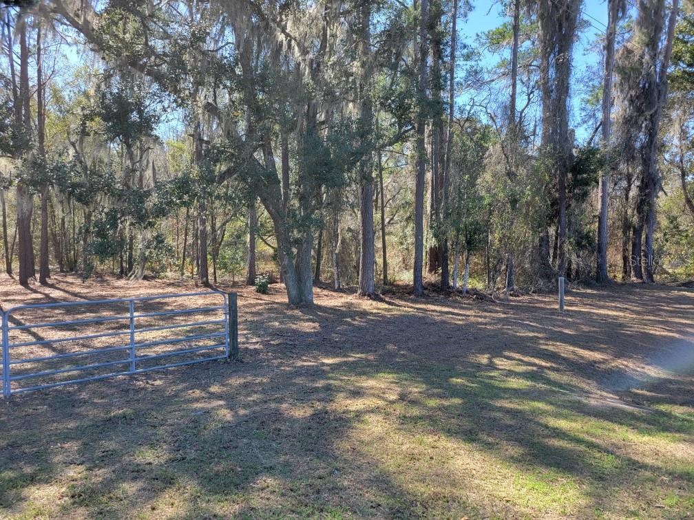 A metal gate stands at the edge of a wooded lot with tall trees — 10133 SE HAWTHORNE ROAD, GAINESVILLE, FL