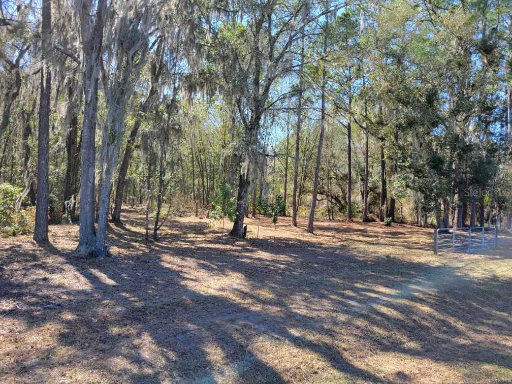 A wooded lot features tall trees draped in Spanish moss and a metal gate — 10133 SE HAWTHORNE ROAD, GAINESVILLE, FL