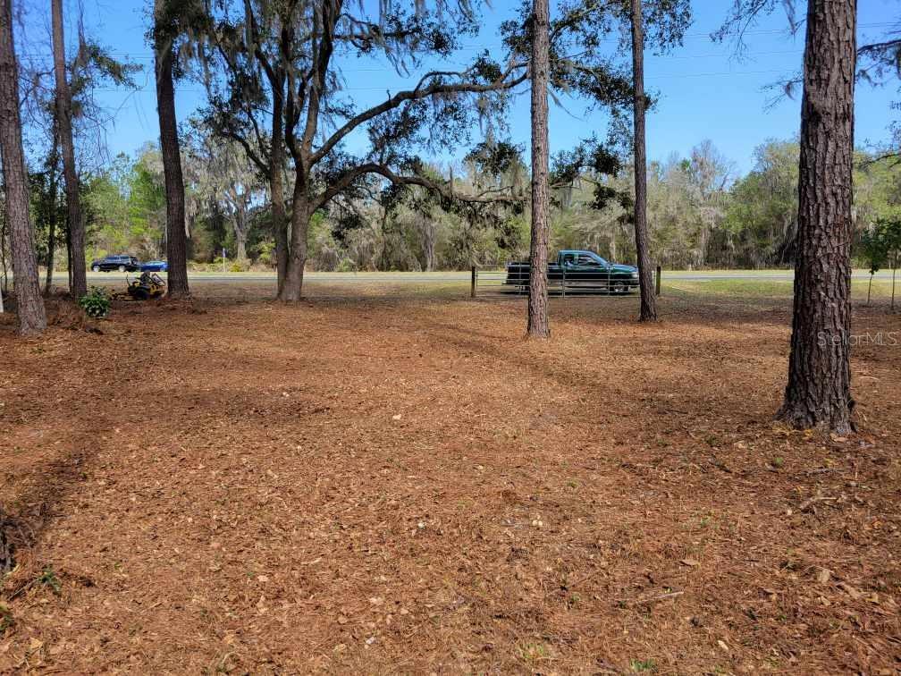 A view of a wooded lot with a dirt ground, trees, and a road beyond — 10133 SE HAWTHORNE ROAD, GAINESVILLE, FL