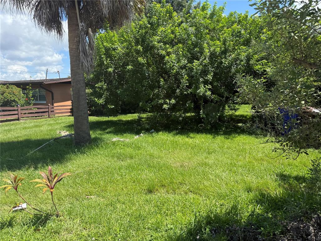 A grassy backyard features a palm tree, a large leafy tree, and a wooden fence — 810 PERSON STREET, KISSIMMEE, FL