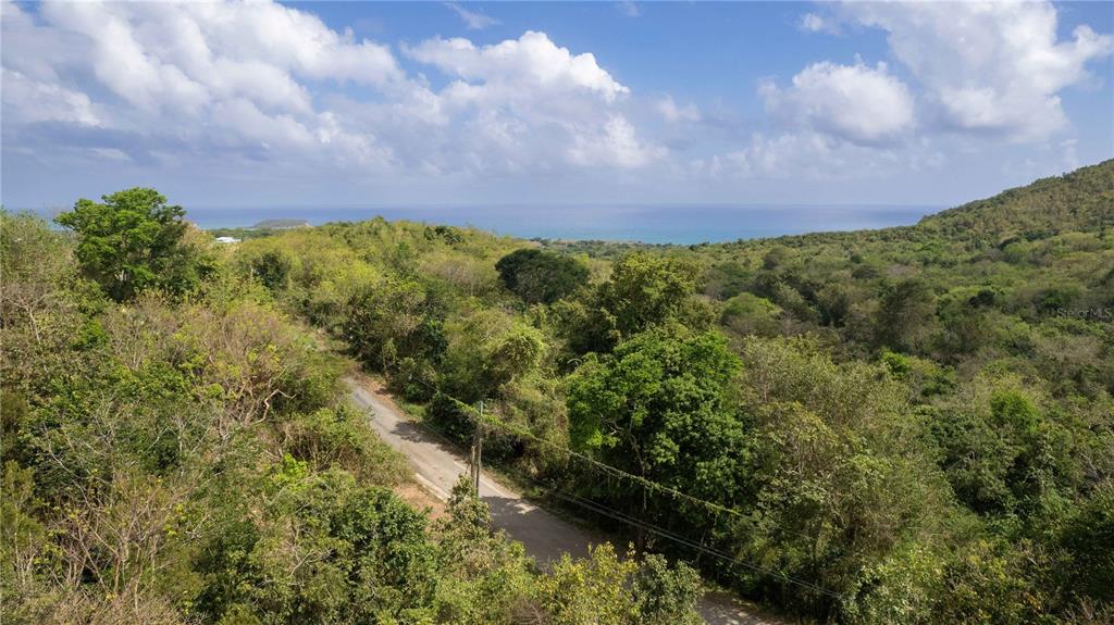 An elevated view shows a dirt road winding through a lush, green, hilly landscape — 173 LA LLAVE ROAD, VIEQUES, PR