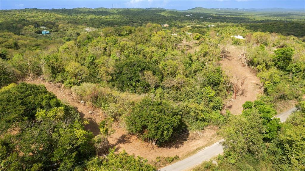 An aerial view shows a sloped, wooded lot with cleared paths and a paved road — 173 LA LLAVE ROAD, VIEQUES, PR