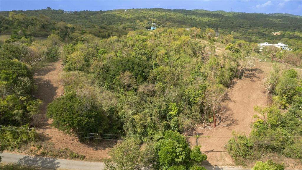 An aerial view shows a sloped, wooded lot with cleared paths bordering a paved road — 173 LA LLAVE ROAD, VIEQUES, PR