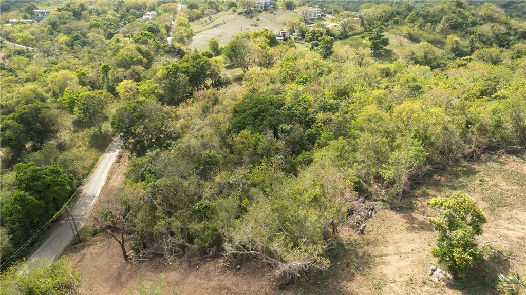 An aerial view shows a sloped, wooded lot bordered by a paved road and cleared land — 173 LA LLAVE ROAD, VIEQUES, PR