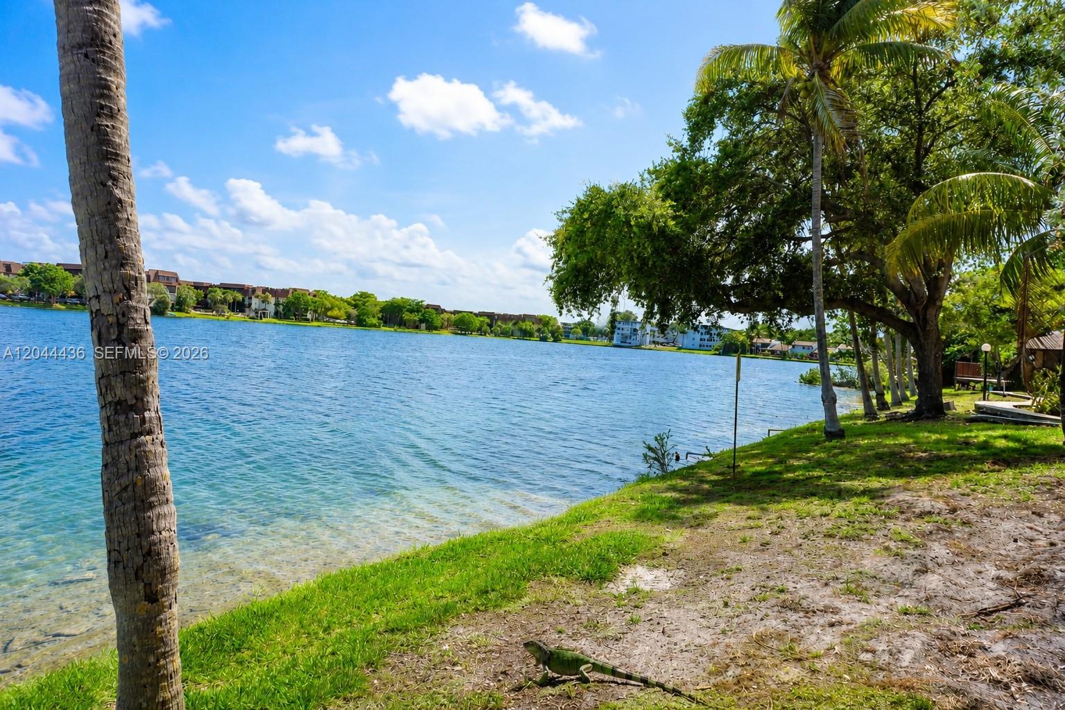 A green iguana rests on the grassy bank of a lake near several palm trees — 770 NE 199th St # 107F, Miami FL 33179, MIAMI, FL