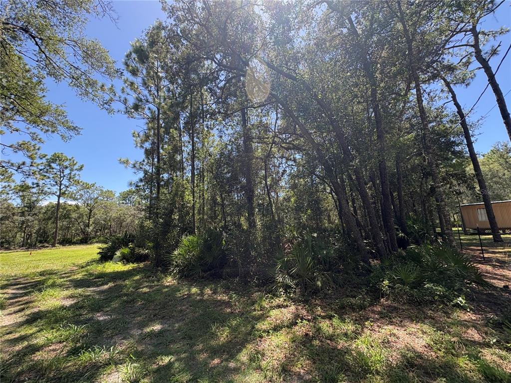 394 N FLORENE POINT, CRYSTAL RIVER, FL — photo 2 of 28