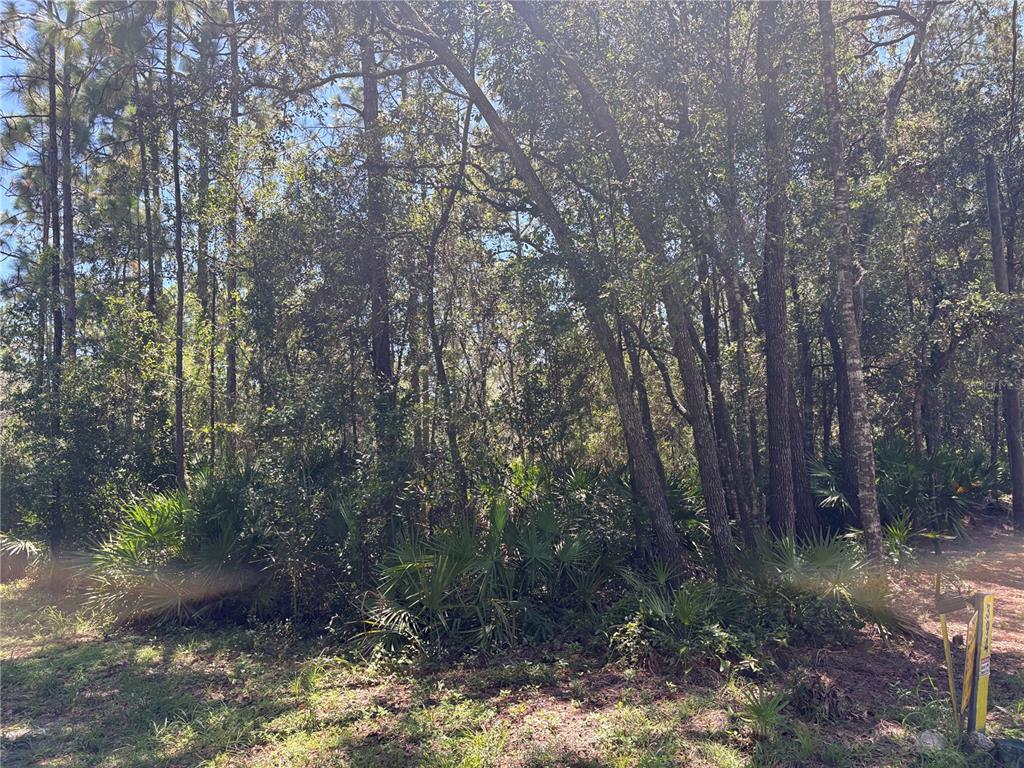 394 N FLORENE POINT, CRYSTAL RIVER, FL — photo 3 of 28