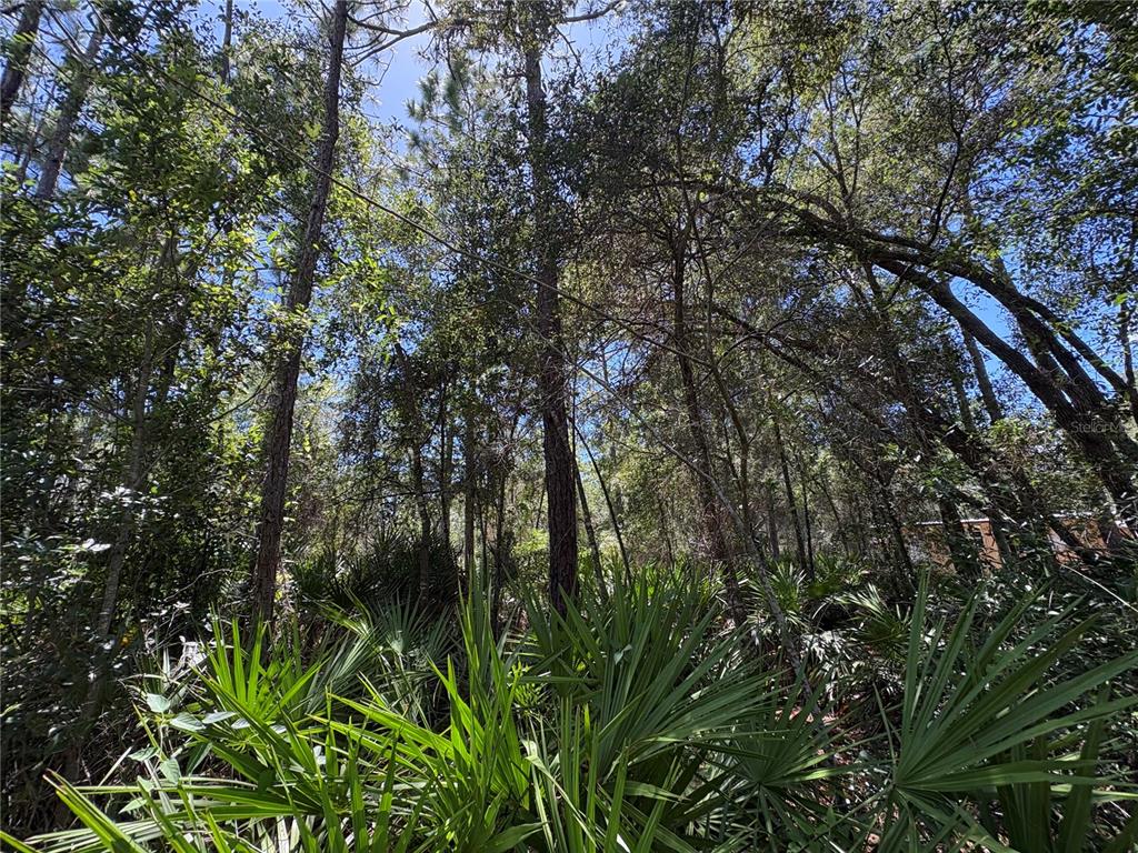 394 N FLORENE POINT, CRYSTAL RIVER, FL — photo 5 of 28
